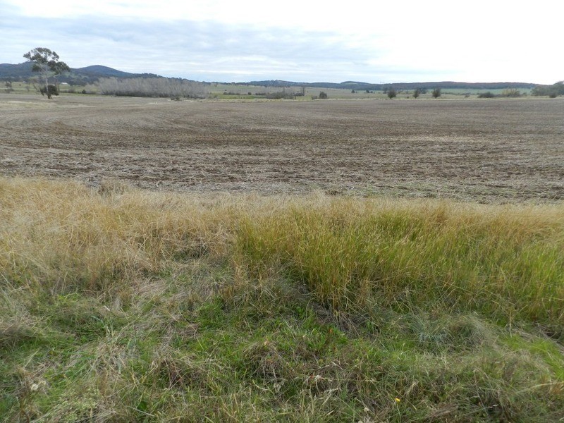 5017 Braidwood  Road, Tirrannaville NSW 2580