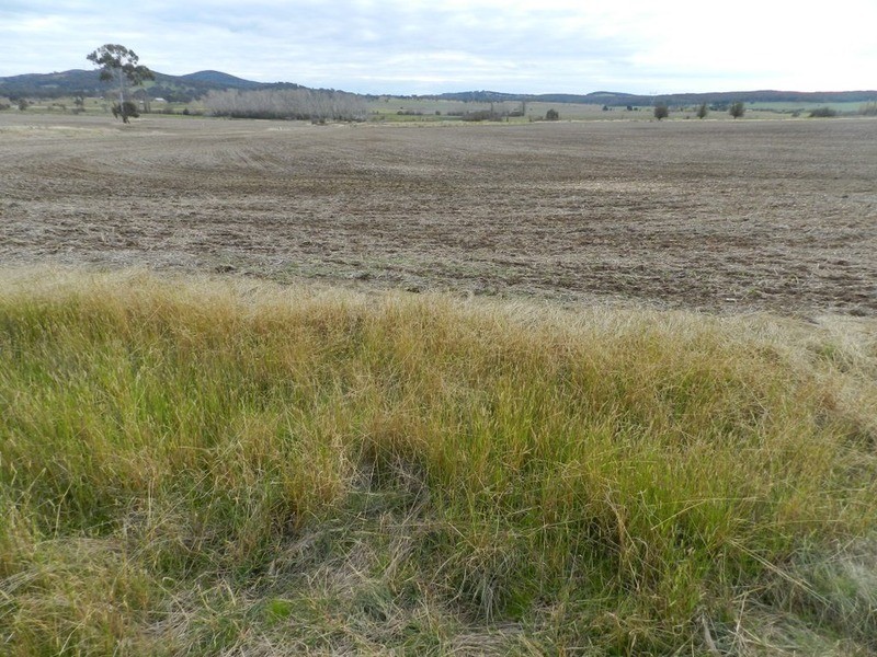 5017 Braidwood  Road, Tirrannaville NSW 2580