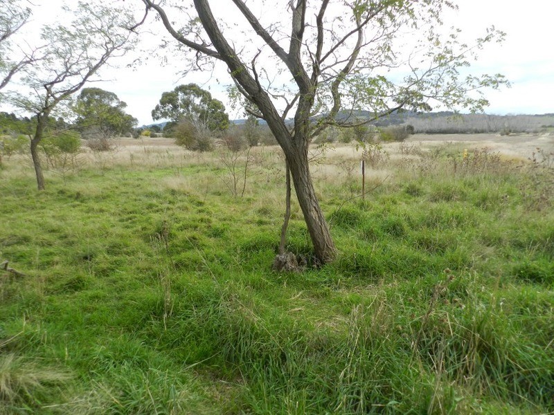 5017 Braidwood  Road, Tirrannaville NSW 2580