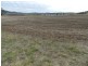 5017 Braidwood  Road, Tirrannaville NSW 2580