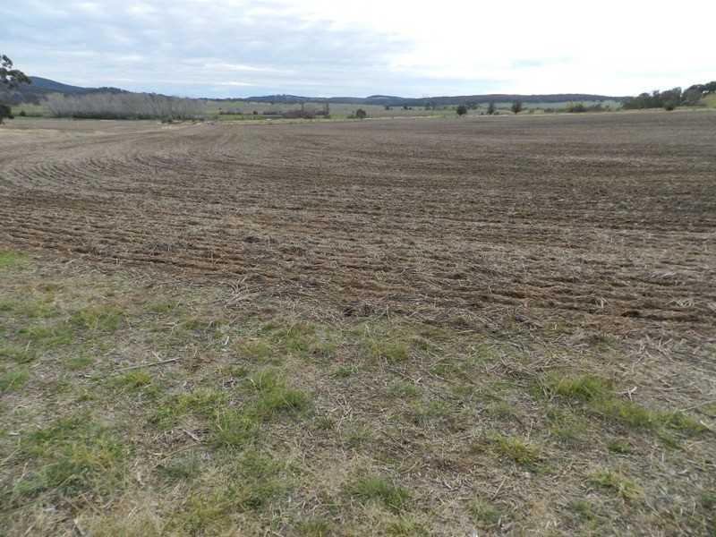 5017 Braidwood  Road, Tirrannaville NSW 2580