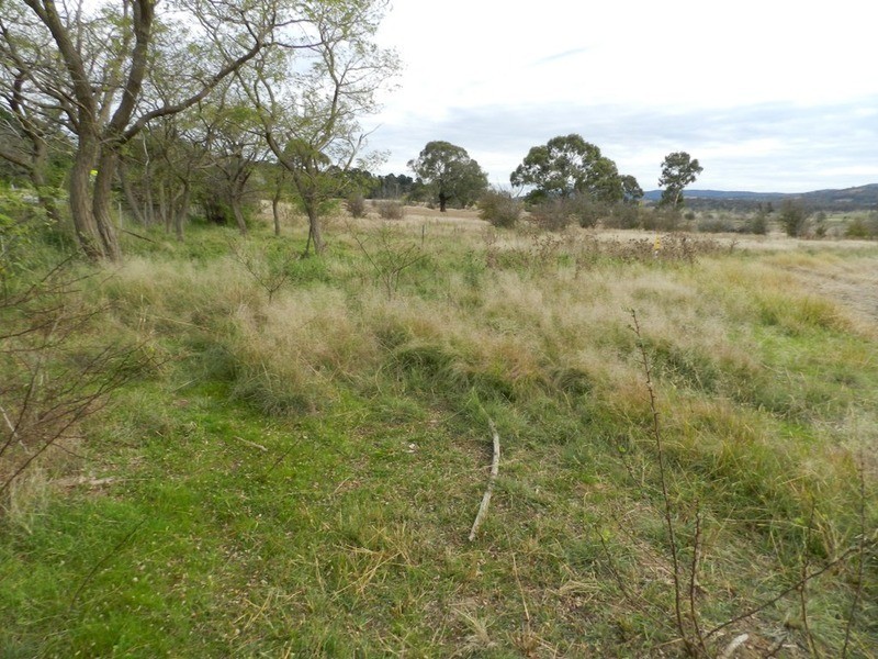 5017 Braidwood  Road, Tirrannaville NSW 2580