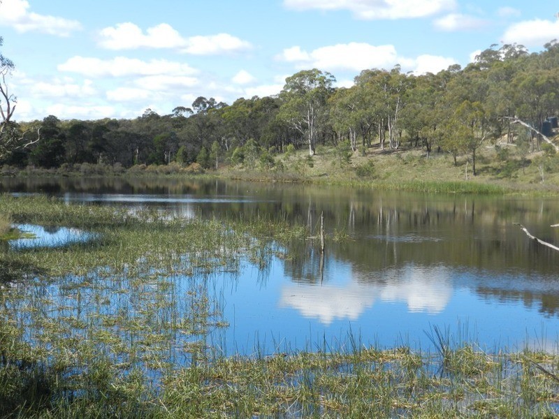 284  Rampion Hills Road, Marulan NSW 2579