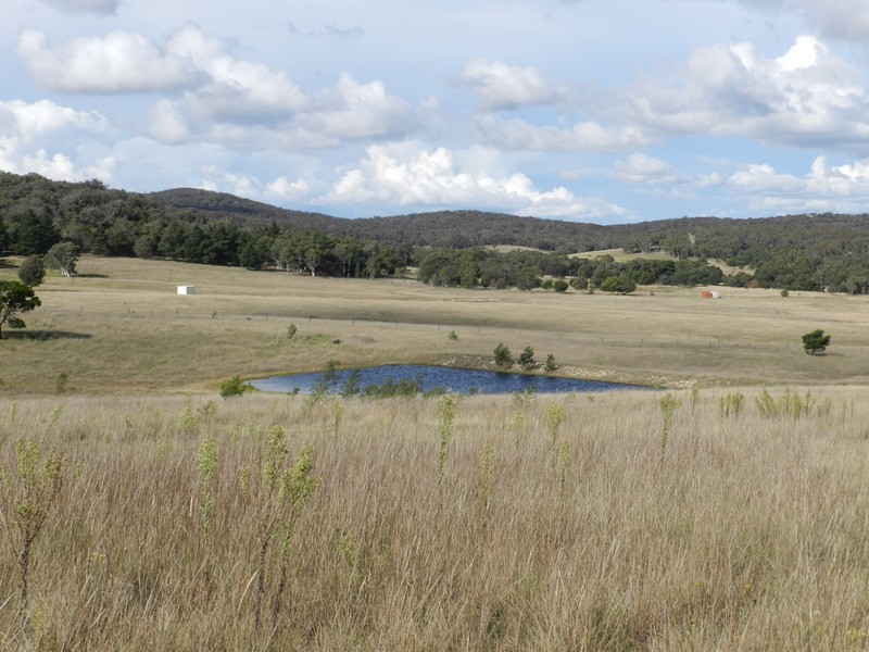 267 Bundong Lane, Lake Bathurst NSW 2580