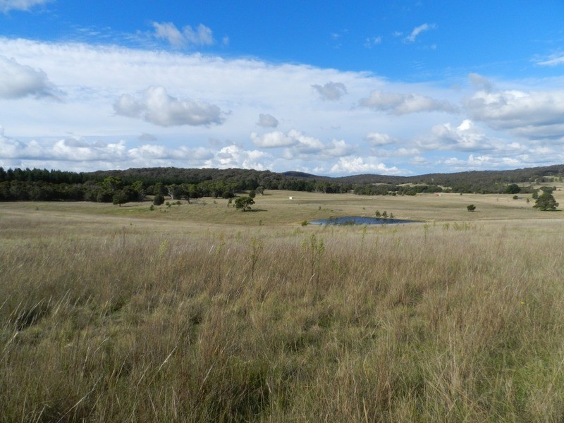 267 Bundong Lane, Lake Bathurst NSW 2580