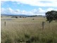 267 Bundong Lane, Lake Bathurst NSW 2580