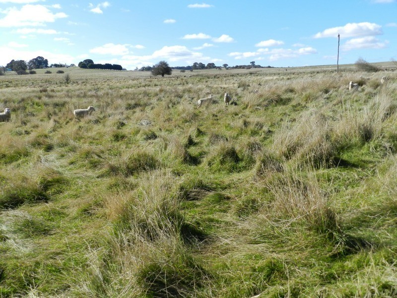 3686 Range  Road, Grabben Gullen NSW 2583