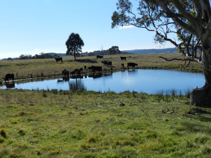 2756 Peelwood  Road, Crookwell NSW 2583
