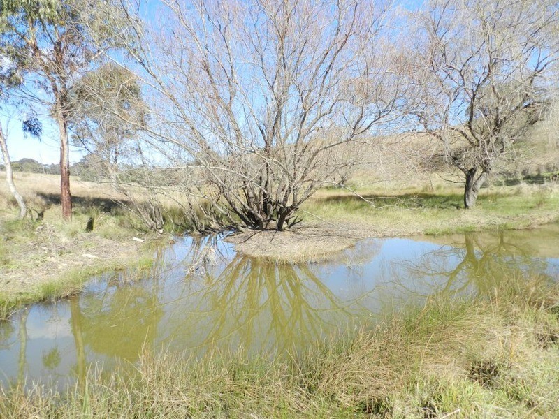 2756 Peelwood  Road, Crookwell NSW 2583