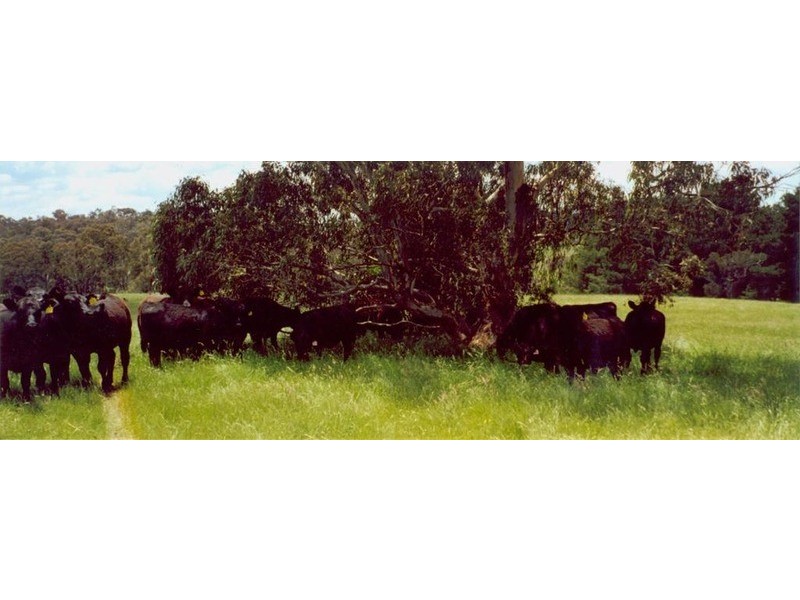 2756 Peelwood  Road, Crookwell NSW 2583