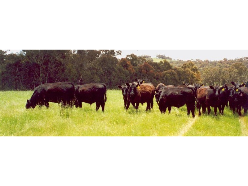 2756 Peelwood  Road, Crookwell NSW 2583