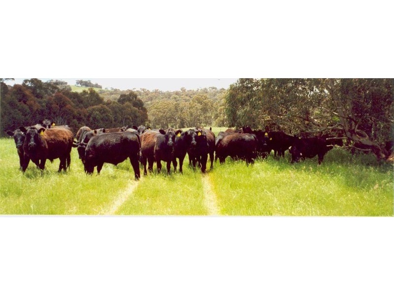 2756 Peelwood  Road, Crookwell NSW 2583