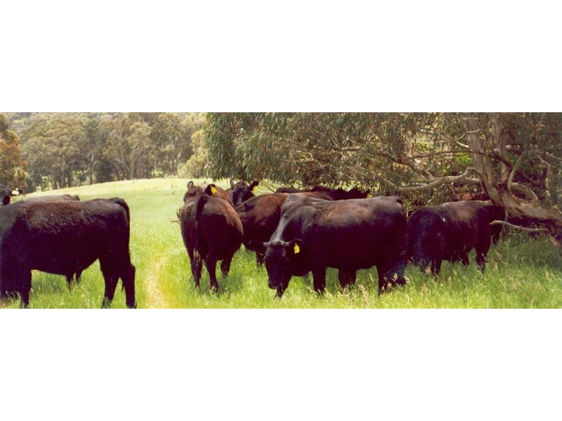 2756 Peelwood  Road, Crookwell NSW 2583