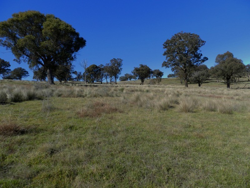 1470 Bigga  Road, Bigga NSW 2583