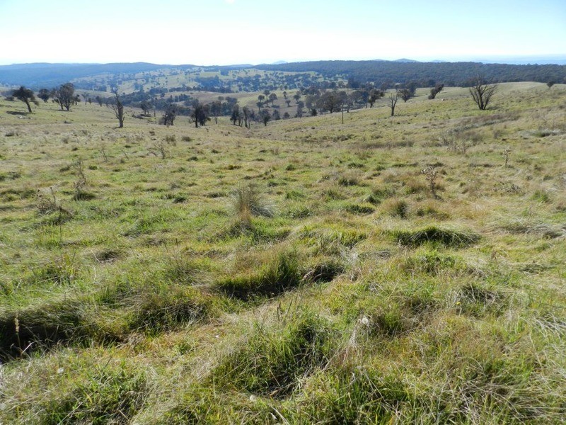 1470 Bigga  Road, Bigga NSW 2583