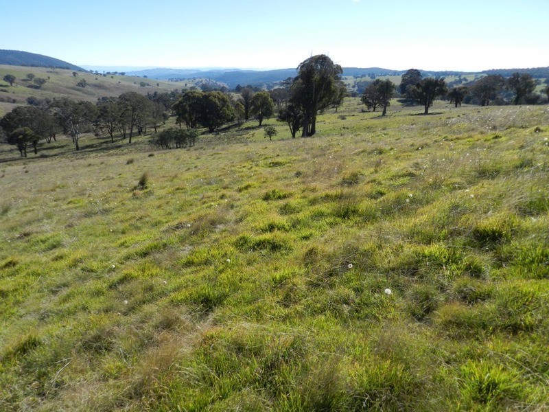 1470 Bigga  Road, Bigga NSW 2583