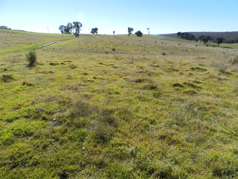 1470 Bigga  Road, Bigga NSW 2583