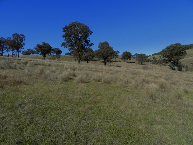 1470 Bigga  Road, Bigga NSW 2583
