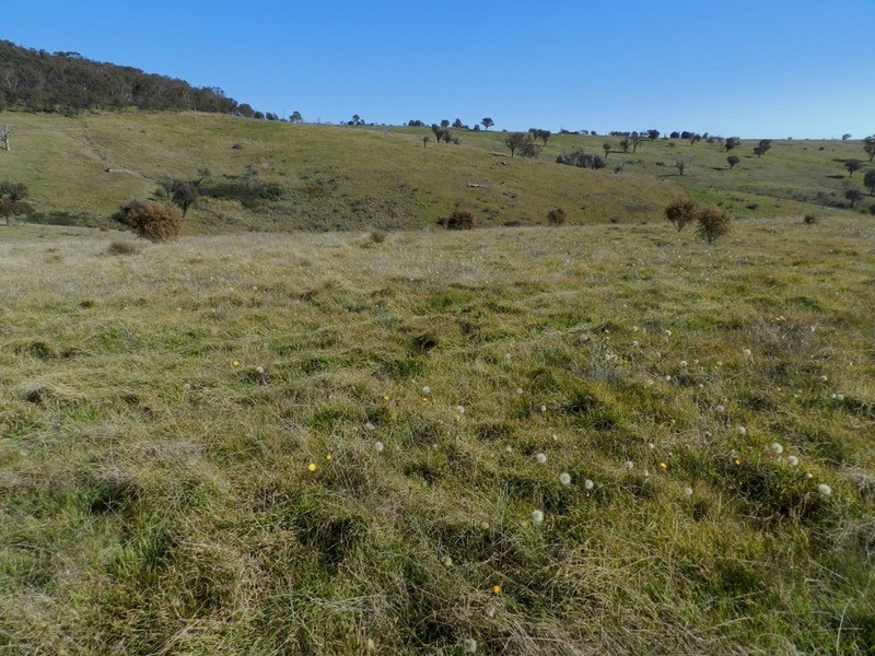 1470 Bigga  Road, Bigga NSW 2583