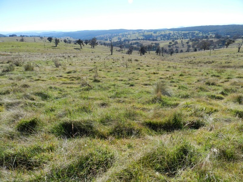 1470 Bigga  Road, Bigga NSW 2583