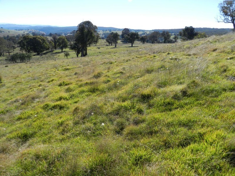 1470 Bigga  Road, Bigga NSW 2583