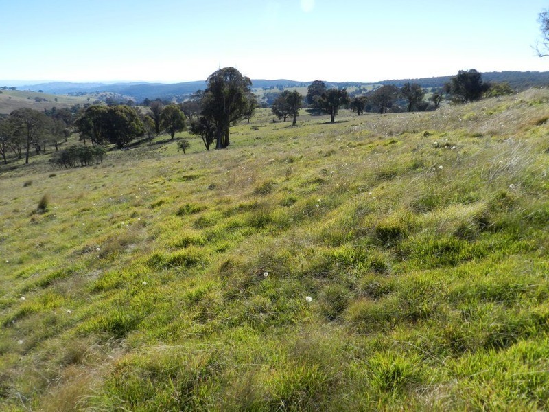 1470 Bigga  Road, Bigga NSW 2583