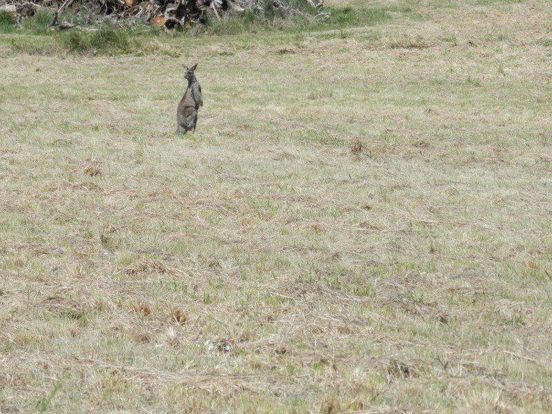 Lot 4/Lot 3 Tait Crescent, Goulburn NSW 2580