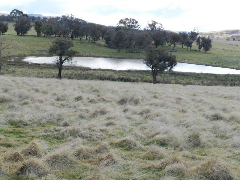 “Weona North” Leighwood  Road, Golspie NSW 2580