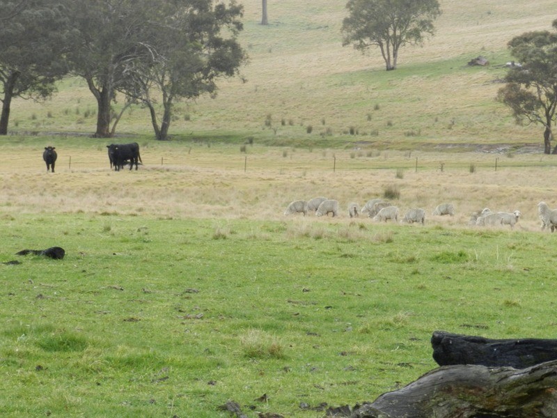 “Weona North” Leighwood  Road, Golspie NSW 2580