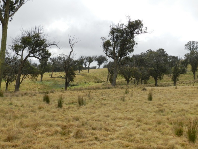“Weona North” Leighwood  Road, Golspie NSW 2580