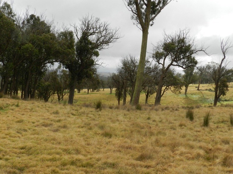 “Weona North” Leighwood  Road, Golspie NSW 2580