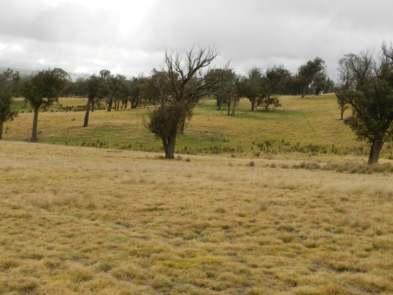 “Weona North” Leighwood  Road, Golspie NSW 2580