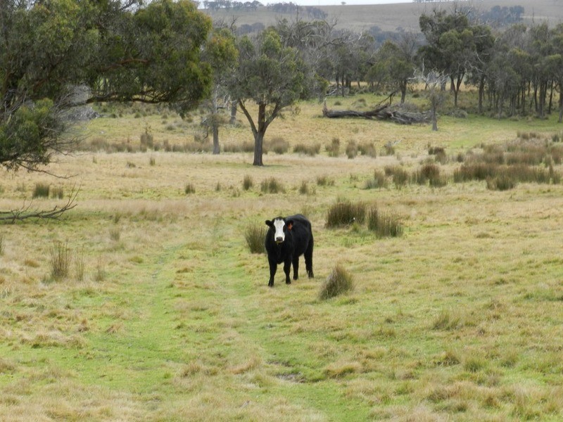 “Weona North” Leighwood  Road, Golspie NSW 2580