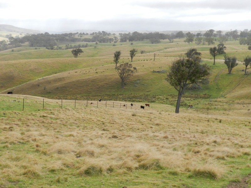 “Weona North” Leighwood  Road, Golspie NSW 2580