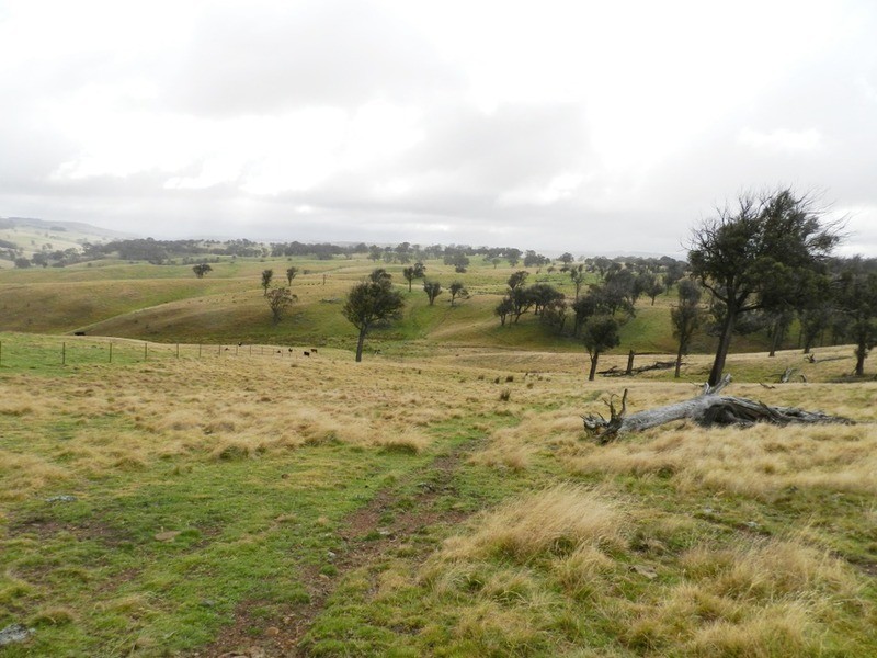 “Weona North” Leighwood  Road, Golspie NSW 2580