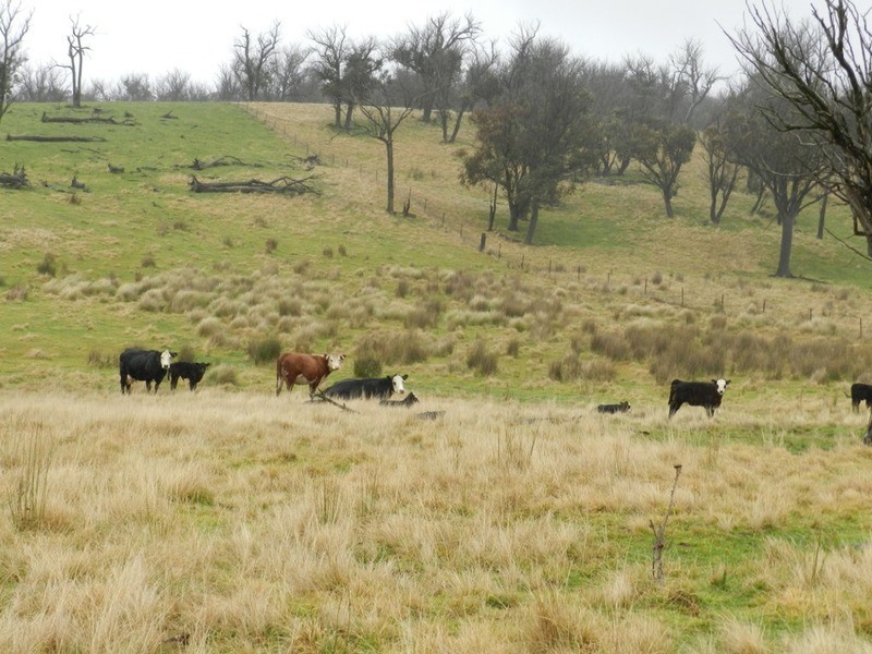 “Weona North” Leighwood  Road, Golspie NSW 2580