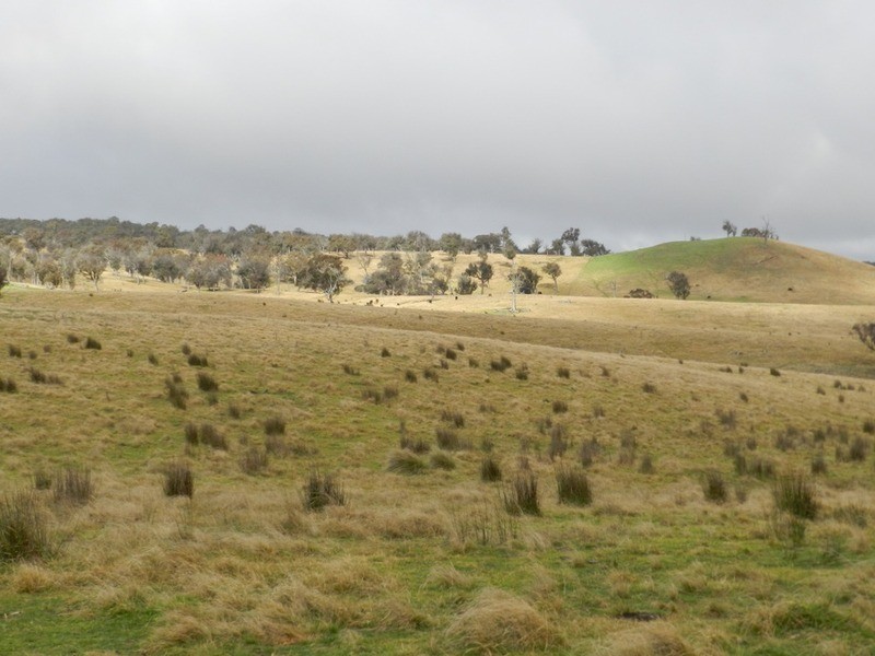 “Weona North” Leighwood  Road, Golspie NSW 2580