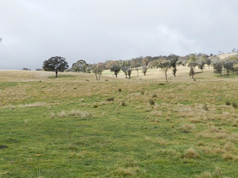 “Weona North” Leighwood  Road, Golspie NSW 2580