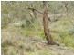 1452 Crookwell Road, Goulburn NSW 2580