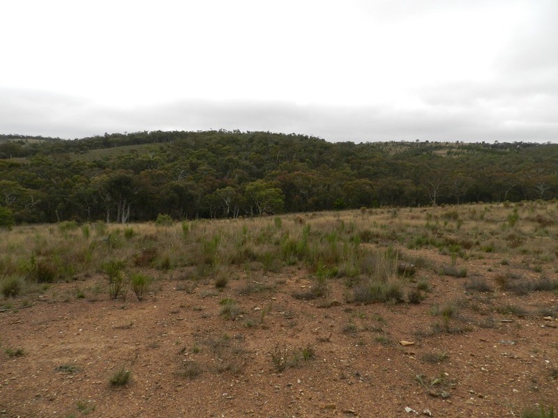 1452 Crookwell Road, Goulburn NSW 2580