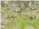 1452 Crookwell Road, Goulburn NSW 2580