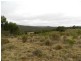 1452 Crookwell Road, Goulburn NSW 2580