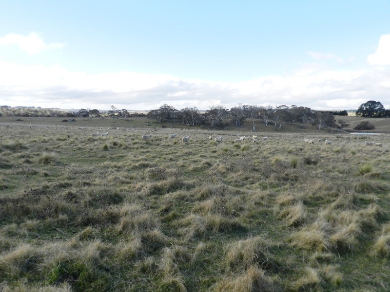 3738 Goulburn Road, Crookwell NSW 2583