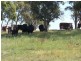 Lot 5 Trappers Way, Woodhouselee NSW 2580