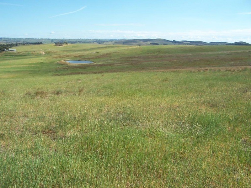 Lot 5 Trappers Way, Woodhouselee NSW 2580