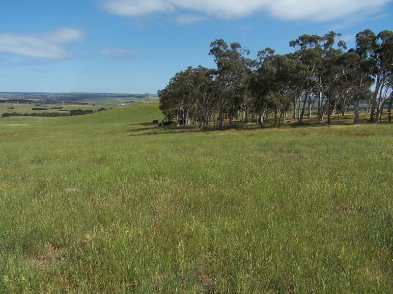 Lot 5 Trappers Way, Woodhouselee NSW 2580