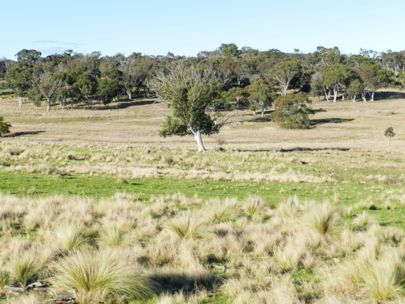 “Woodburn South” Hume  Highway, Goulburn NSW 2580