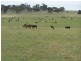 Lot 14 Windellama Road, Goulburn NSW 2580
