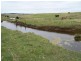 Lot 14 Windellama Road, Goulburn NSW 2580