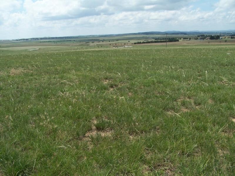 Lot 14 Windellama Road, Goulburn NSW 2580